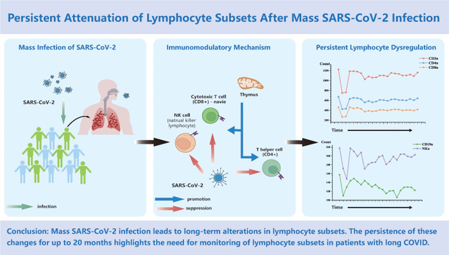Persistent attenuation of lymphocyte subsets after mass SARS-CoV-2 infection