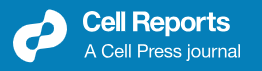 Cell Reports Logo